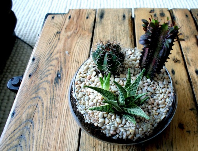 AD-Adorable-Miniature-Terrarium-Ideas-For-You-To-Try-17