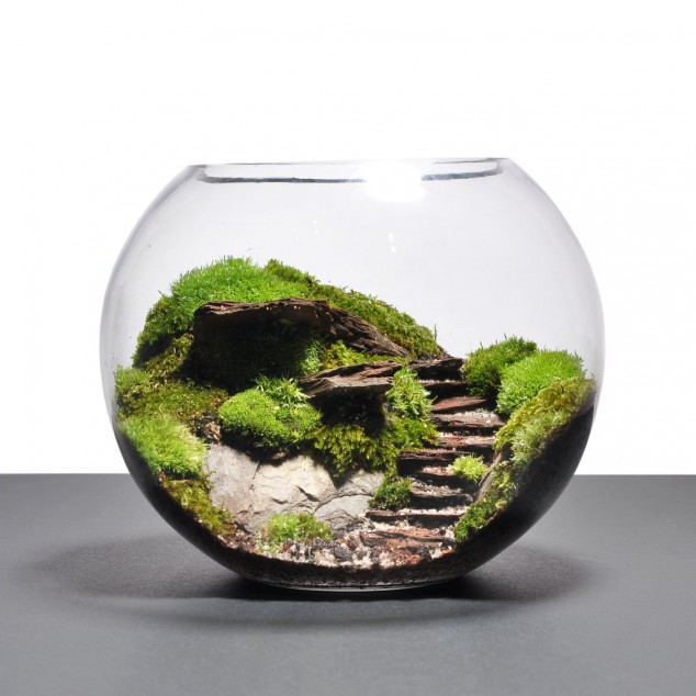 AD-Adorable-Miniature-Terrarium-Ideas-For-You-To-Try-21