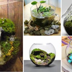 25+ Adorable Miniature Terrarium Ideas For You To Try