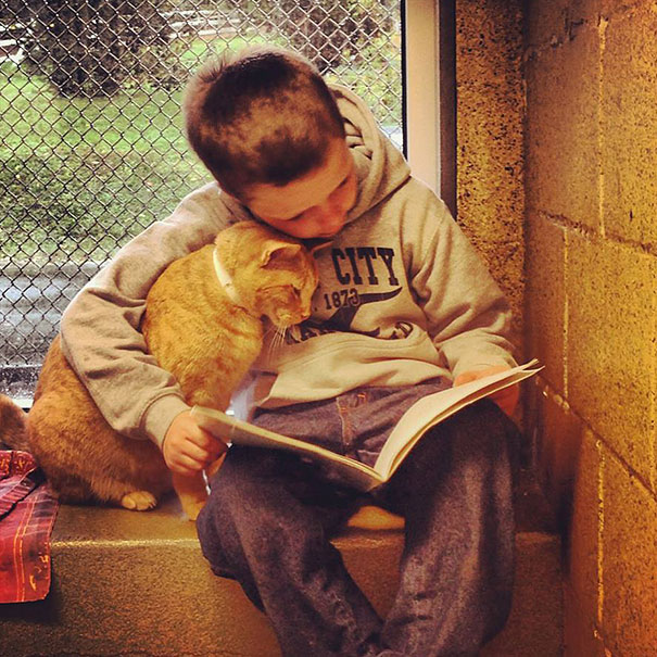 Kid Reads To A Shelter Cat