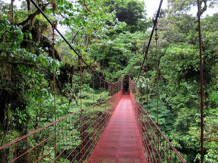 Monteverde Cloud Forest Reserve, Costa Rica