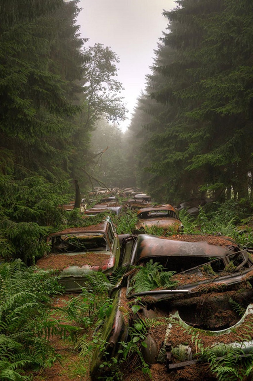 Ardennes Forest, Belgium