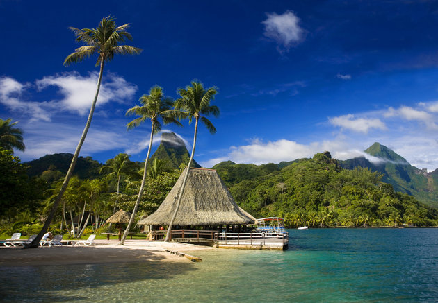 Tahiti  Moorea Island (Society Islands) Cook's Bay