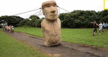 One theory claims that the Easter Island statues were “walked” to their places