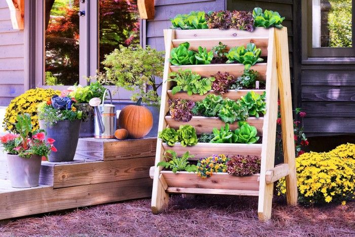 25+ Creative DIY Vertical Gardens For Your Home