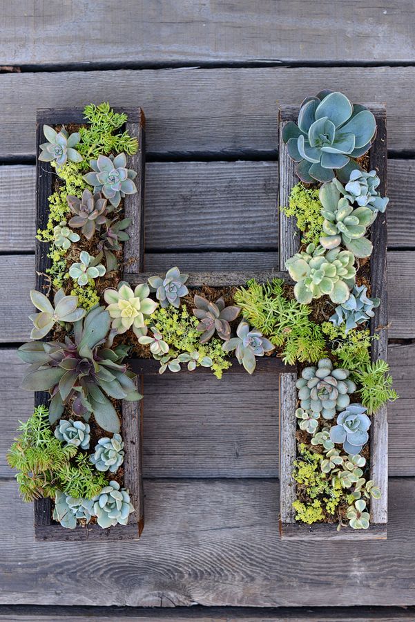 AD-Creative-DIY-Vertical-Gardens-For-Your-Home-24