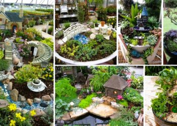 DIY-Ideas-How-To-Make-Fairy-Garden