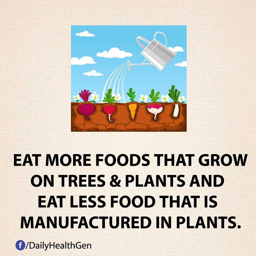 Eat More Foods That Grow On Trees & Plants And Eat Less Food That's Manufactured In Plants.
