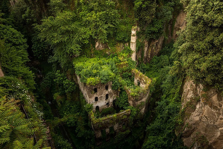 Aggressive greenery envelops a deserted flour mill in Sorrento, Italy.