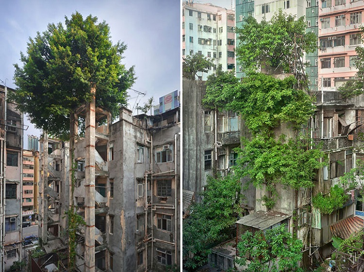 A striking contrast between growth and neglect in Hong Kong.