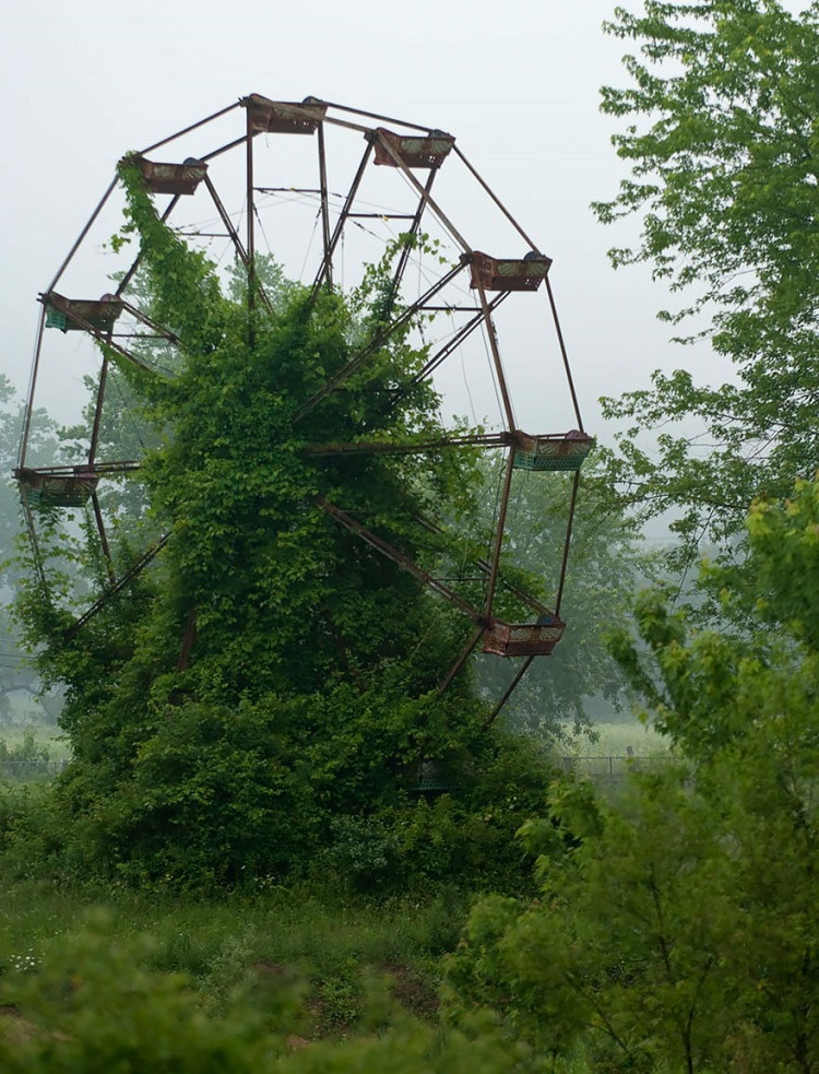 A green Ferris wheel.