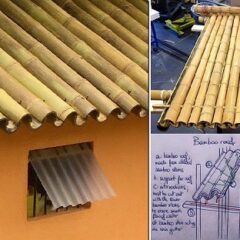 Bamboo As A Building Material For Unique Design Of Your House