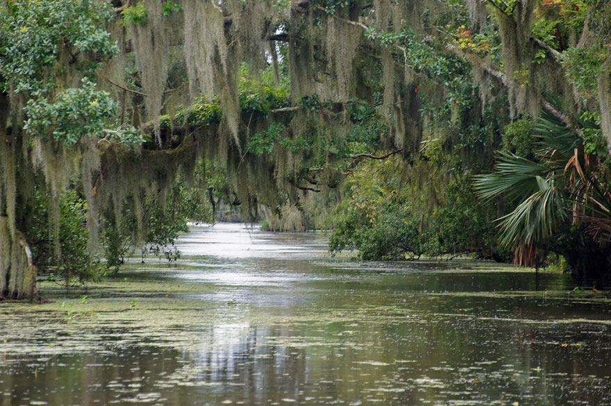 The Princess And The Frog – Louisiana bayous, USA