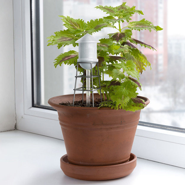 A miniature water tower to keep your plants alive.