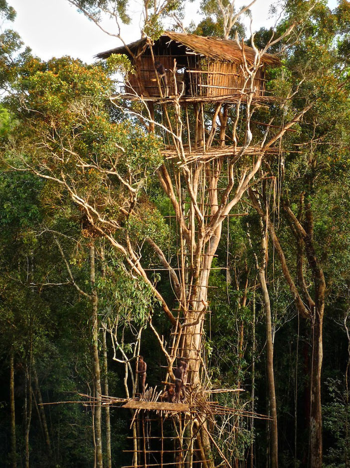 AD-The-Most-Beautiful-Treehouses-From-All-Over-The-World-20