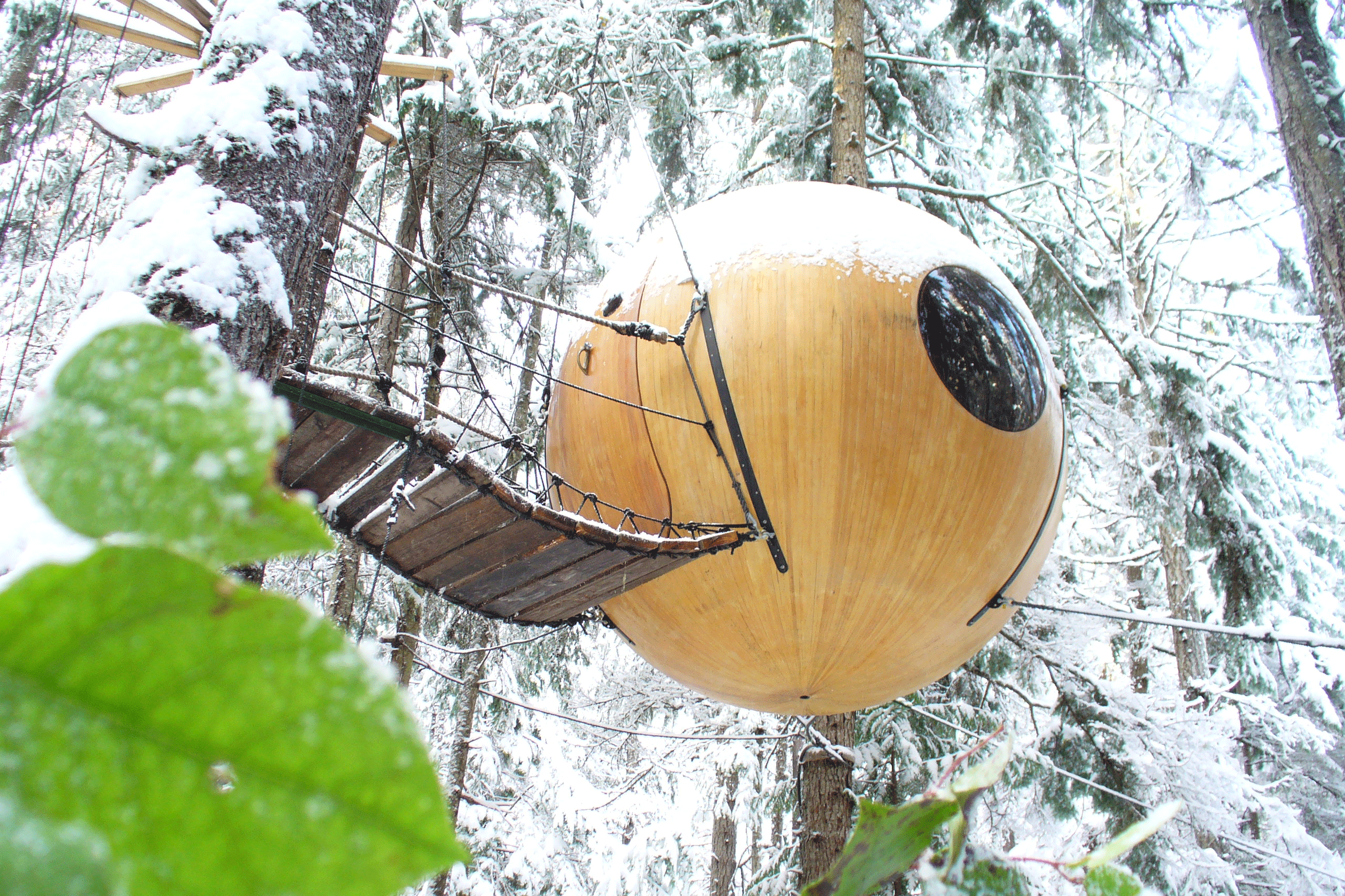 AD-The-Most-Beautiful-Treehouses-From-All-Over-The-World-21
