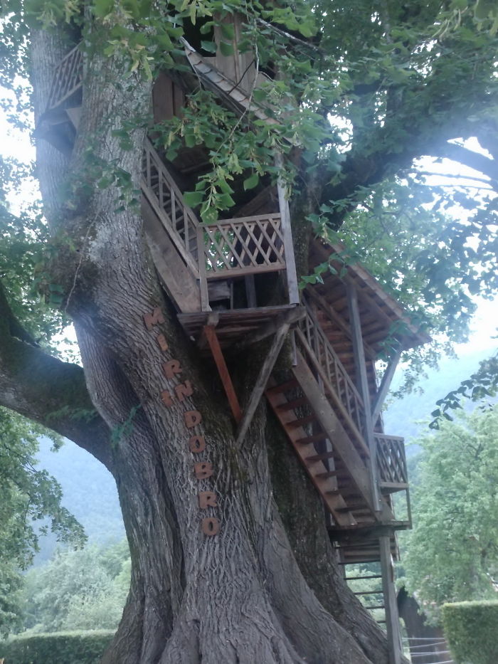 Treehouse In Nova Stifta, Slovenia