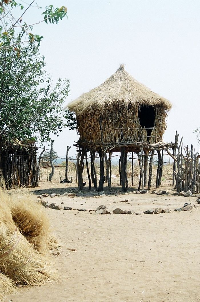 Ndebele Treehouse, Hwange Area, Zimbabwe