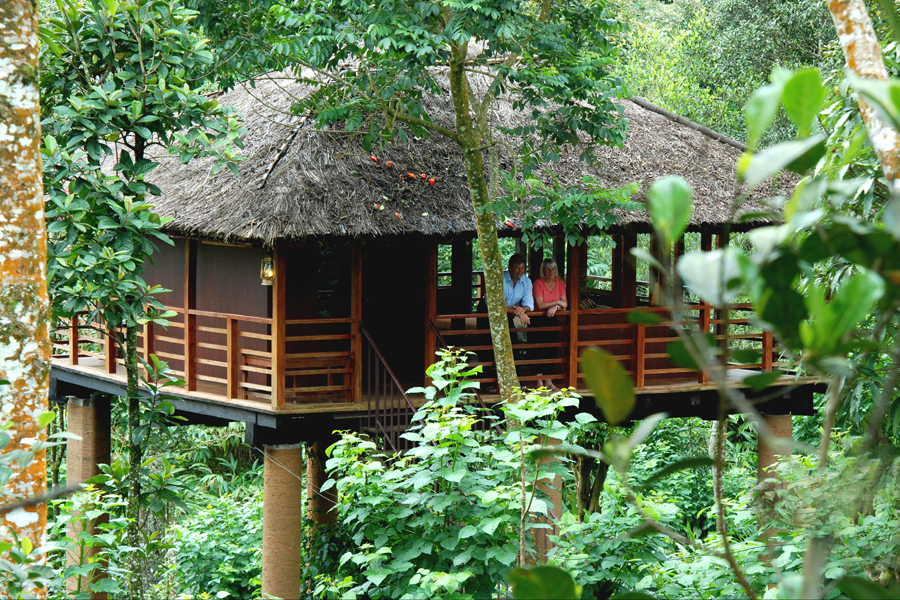 Tree House In Kerala