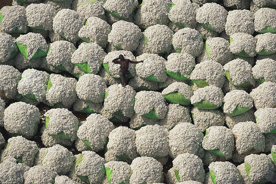 Meanwhile in the Ivory Coast, a worker takes a moment to rest on bales of cotton.