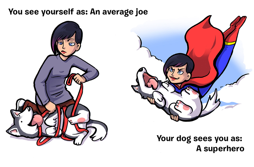 An average joe