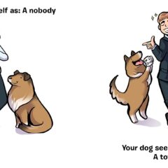 How You See Yourself vs How Your Dog Sees You