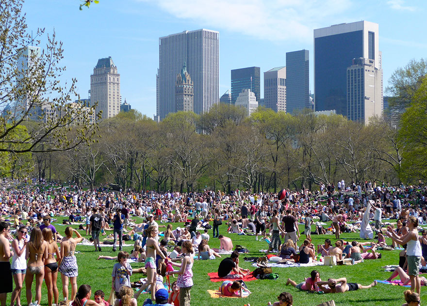 Walking In Sheep Meadow, In New York's Central Park, United States