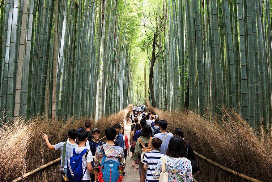 Exploring Arashiyama Bamboo Forest In Japan