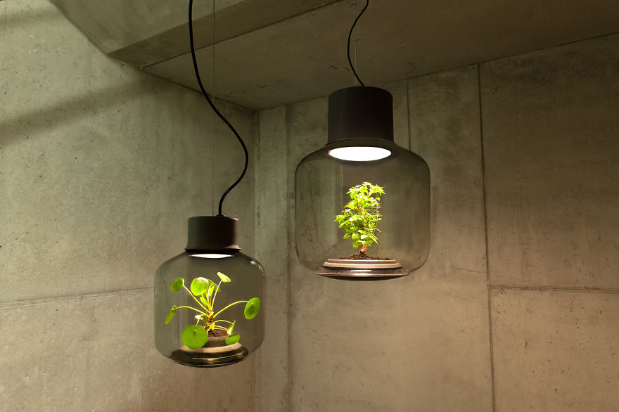 AD-We-Designed-These-Lamps-To-Grow-Plants-In-Windowless-Spaces-01