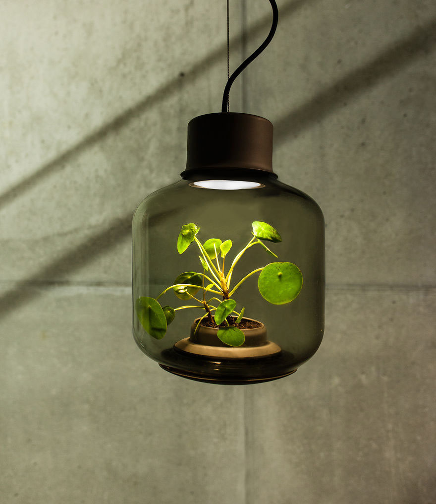 AD-We-Designed-These-Lamps-To-Grow-Plants-In-Windowless-Spaces-02
