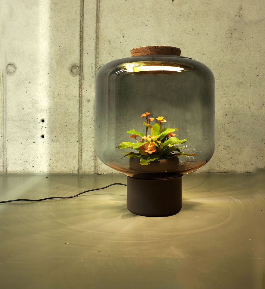 AD-We-Designed-These-Lamps-To-Grow-Plants-In-Windowless-Spaces-03