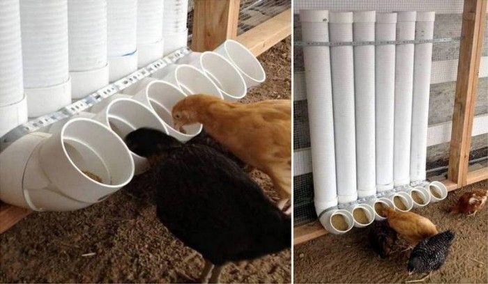 DIY PVC Chicken Feeder