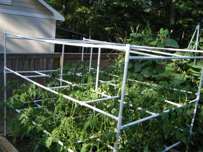 PVC Tomato Cages