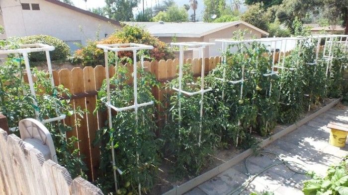 PVC Tomato Cages