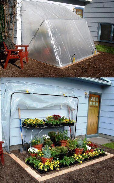 Fold-Down Greenhouse