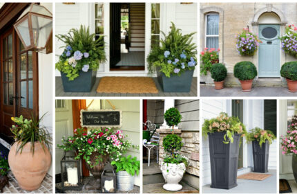 40+ Front Door Flower Pots For A Good First Impression