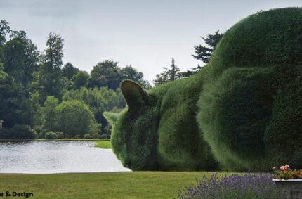 Surrealist Topiary Cats by Richard Saunders