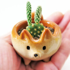 My Shiba Inu Ceramics That I Create To Bring Smiles To People’s Faces