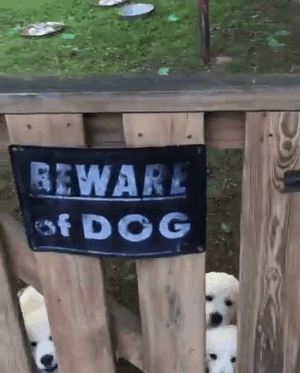 Beware-Of-The-Dog-Signs