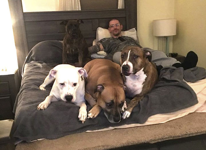 Meet Aaron Franks, a man from Pennsylvania who lives with four dogs