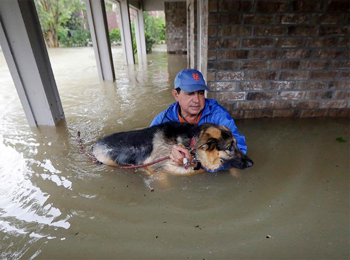 Joe Garcia Carries His Dog Heidi From His Flooded Home