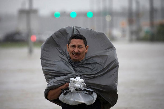 A Man Uses A Trash Bag As Cover From The Rain While Wading Through Flood Waters In East Houston, Texas
