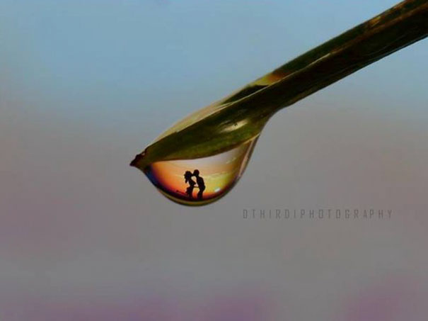 Life In A Drop Photography