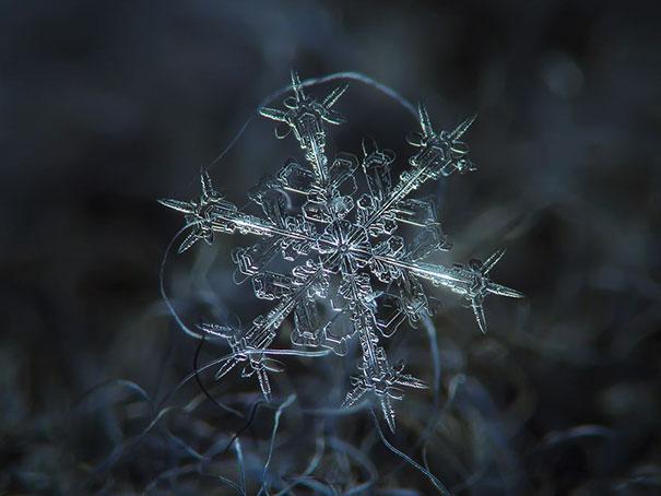 Close-ups Of Snowflakes