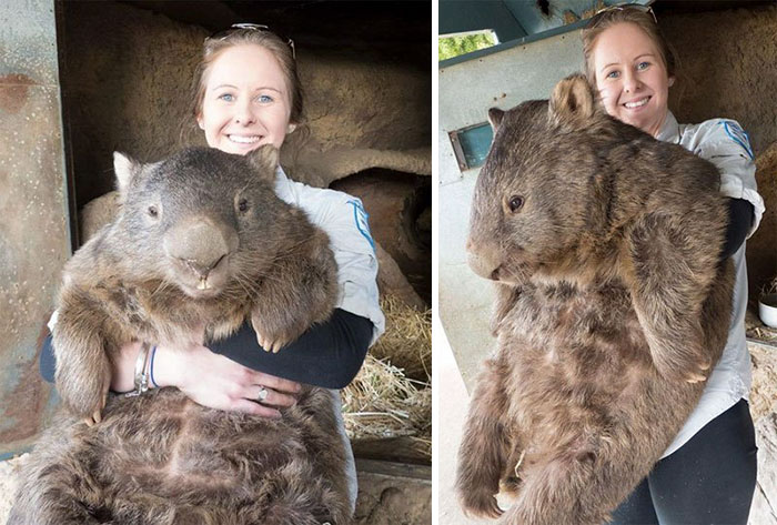 25+ Things That Are Surprisingly Bigger Than You Probably Thought