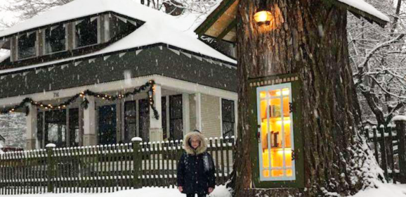 Woman Turned 110-Year-Old Dead Tree Into A Magical Free Little Library For The Neighborhood