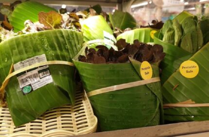 Innovative Supermarket Uses Banana Leaf Packaging To Avoid Plastics