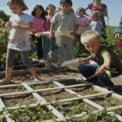 Should Children Be Taught How To Grow Food As Part of Their Schooling?