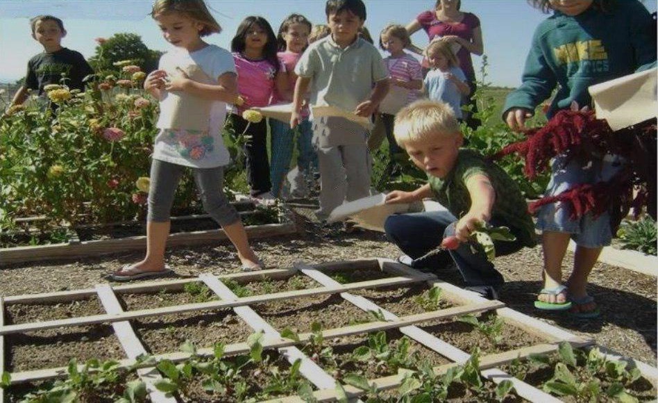 Should Children Be Taught How To Grow Food As Part of Their Schooling"
