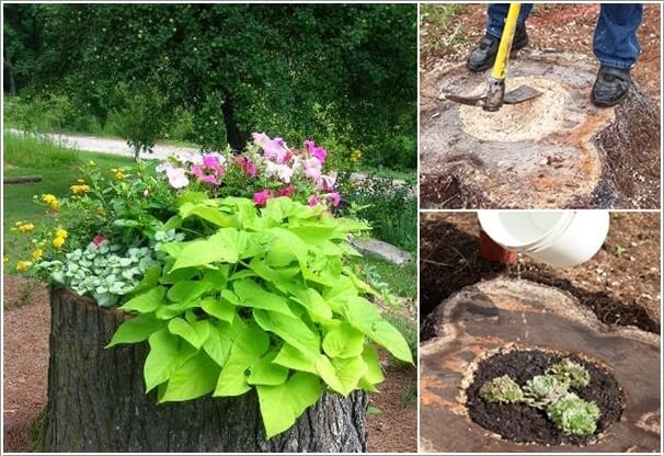 Transform The Stump Into a Planter